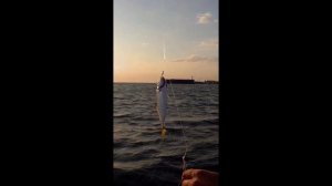 Хорошая рыбалка