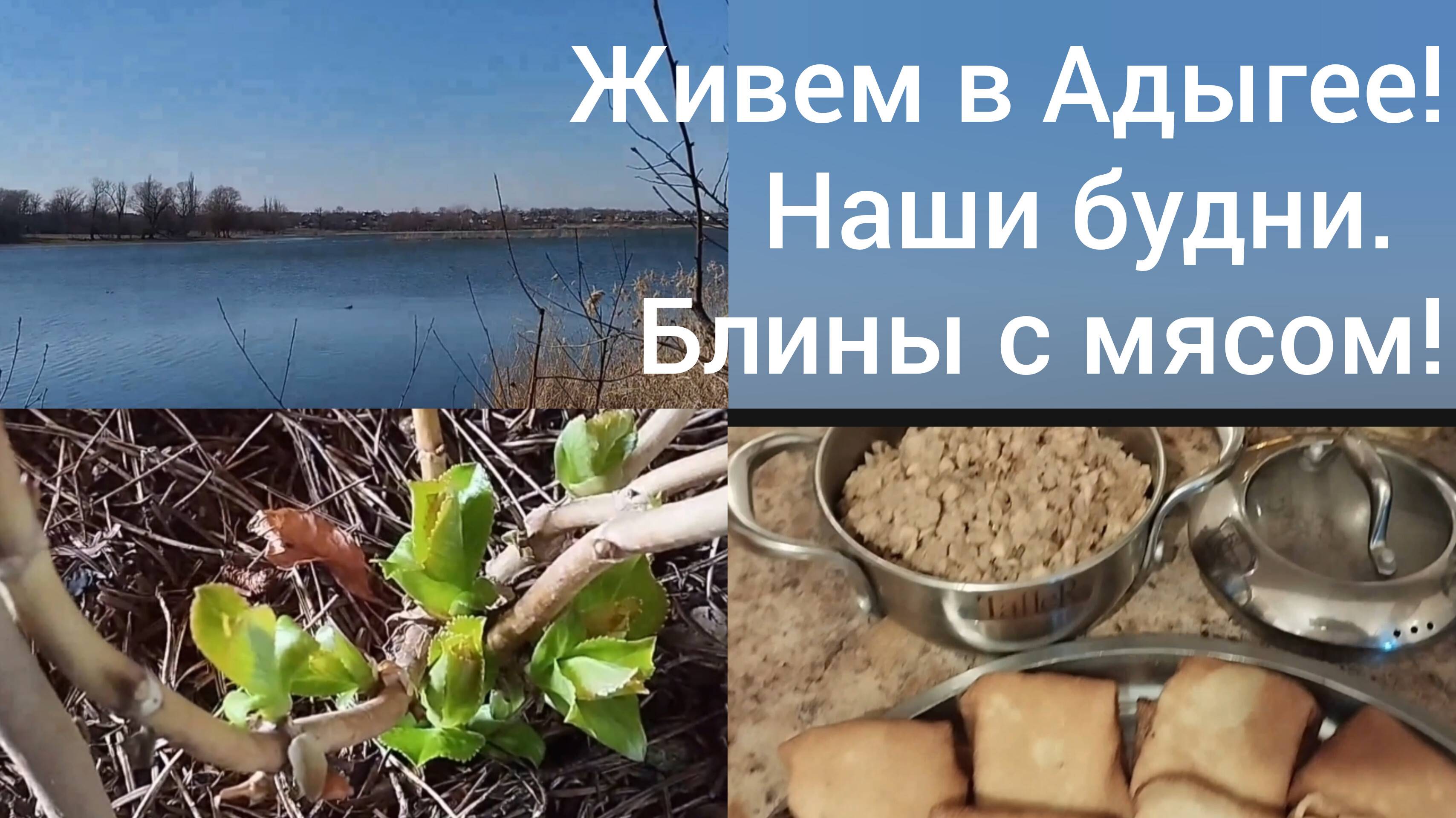 Переехали в Адыгею уже 7-й год/Холодный февраль/Блинчики с мясом