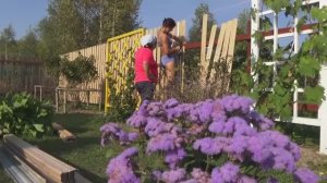 6 соток 25 сентября 2020 года. Забор. Опора для очень высокой розы. В гостях у пчеловодов