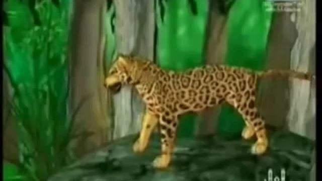 Мультфильм о Х1абиле и Къабиле
