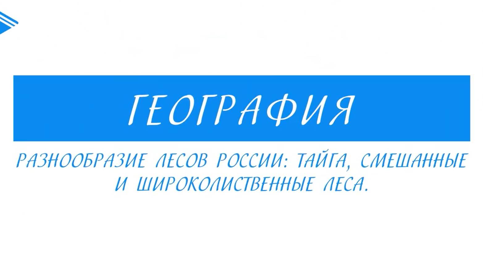 8 Класс - География - Безлесные зоны на юге России: тайга, широколиственные леса