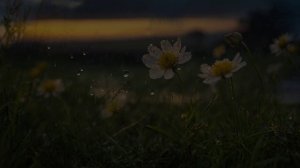 «Осень в сердце»