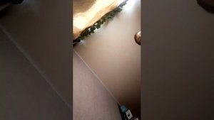 в пабг загатити