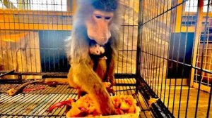 Алина с Денисом натушили для мамы Лиды капусты с мясом, которая молодой маме ЗАШЛА на УРА!!!