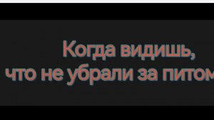 Когда видишь, что не убрали за питомцем)