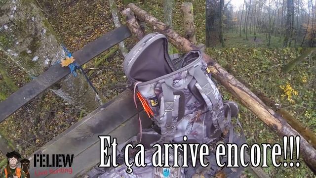 Inoubliable: 5 sangliers au même poste! Chasse au sanglier en battue, jabali, wild boar смотреть онлайн