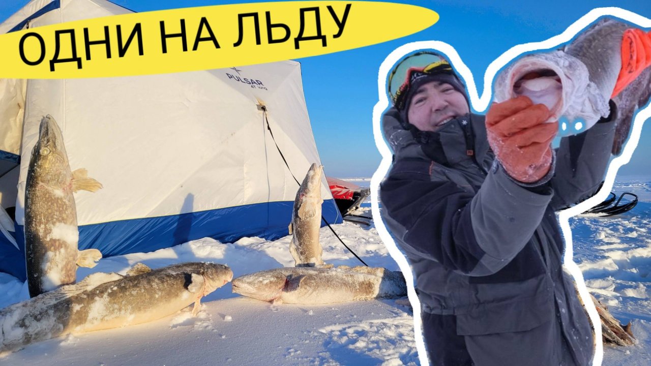 ОДНИ НА ЛЬДУ! РЫБАЛКА С НОЧЁВКОЙ!  ГИГАНТЫ р.ПЕЧОРА НЕ СПЯТ В ШТОРМОВУЮ ПОГОДУ