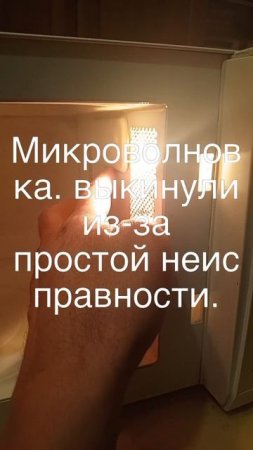 Выкинули микроволновку из-за простой неисправности.