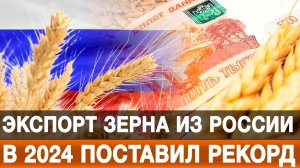 Экспорт зерна из России в 2024 поставил рекорд