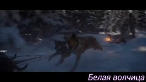 Зов предков клип про Бека -Зомби-