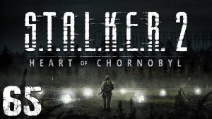 S.T.A.L.K.E.R. 2 Heart of Chornobyl #65. За Бродягу и Искру