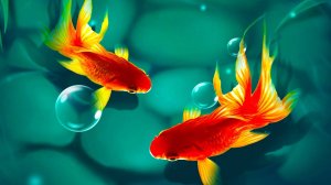 ТАЙНАЯ ЖИЗНЬ РЫБ 8