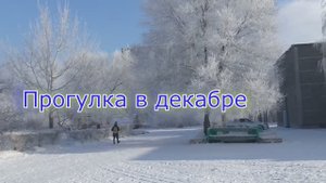 Прогулка в зимний день...Музыка Вадима Гурьева