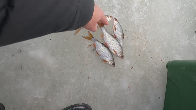 как я зимой на рыбалку ходил смотреть онлайн