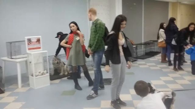 Наши подопечные