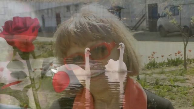 "МОЯ ОДНОКЛАСНИЦЯ З ДНЕМ НАРОДЖЕННЯ" Моя любимая и нежная смотреть онлайн