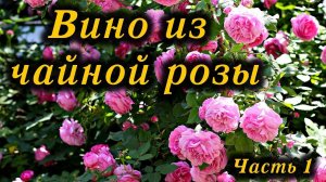 Вино из чайной розы (Часть 1) / Tea rose wine (Part 1)
