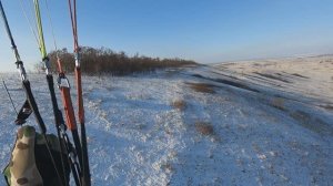 Золотаревка 9.02.2024