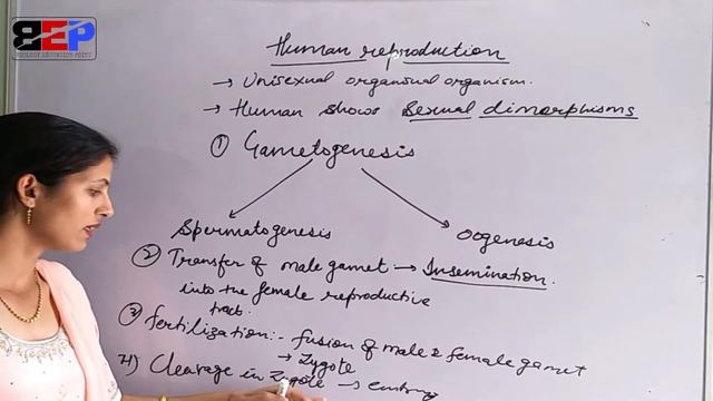 Introduction #humanreproduction #human reproduction #bep #suman