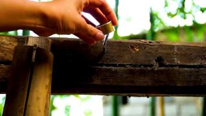 Steel 65mn Forged into a Kitchen Knife