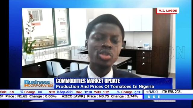 Problems Of Tomato Farming In Nigeria, And How To Overcome Them - Analyst