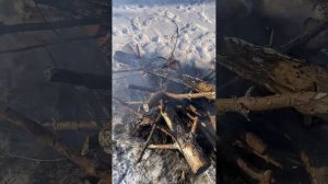 Поездка на реку