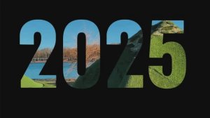 2025 год. Начало. Ф