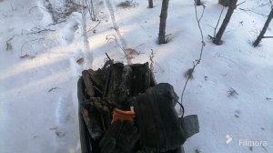 Зимний коп в лесу