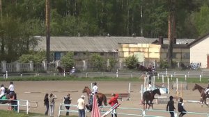 Костромской ипподром. Бега. 17.05.14. ПРИЗ В ЧЕСТЬ НП "СОДРУЖЕСТВО РЫСИСТОГО КОНЕВОДСТВА РОССИИ"