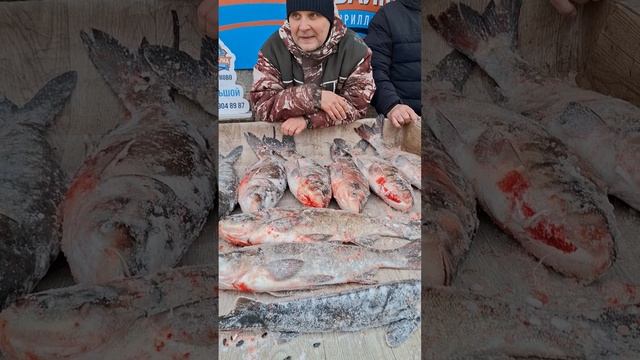 Пока все в ожидании запуска