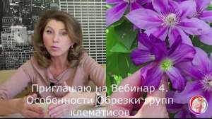 Обрезайте клематис правильно! Вебинар 4