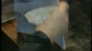 Энциклопедия  Братья Гримм