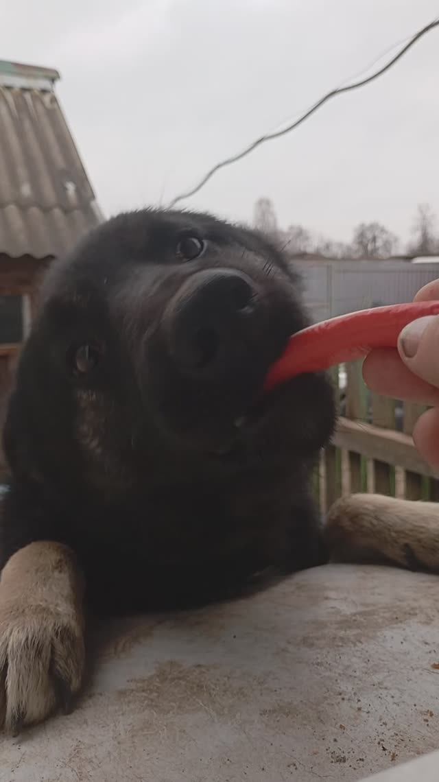 Нельзя смотреть онлайн