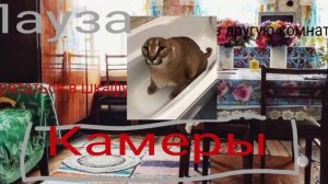 Обзор на свою игру Пять ночей с Шлёпой видеоподелка