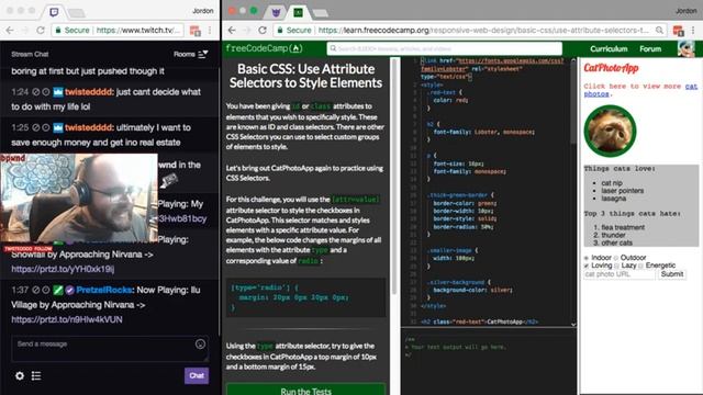 Learning Basic CSS with FreeCodeCamp.org