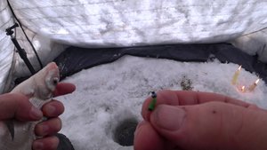 Февраль 2025.БЕЗМОТЫЛКА выручает.