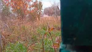 Как заставить пчёл перейти во второй корпус Рута?