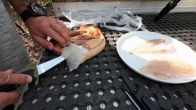 How to fillet and cook perch