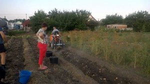 Копаем картошку самодельным минитрактором