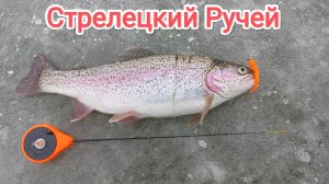 Стрелецкий ручей.