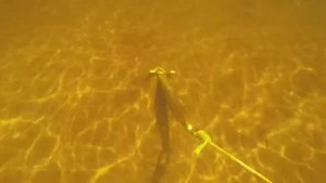 Якорь Краб 7,5 кг по типу Холла.  Работа на дне - boatinox.ru