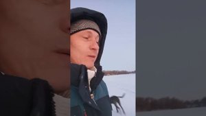 С Беллой на прогулку.