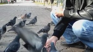 Юрий Рогов - Октябрь