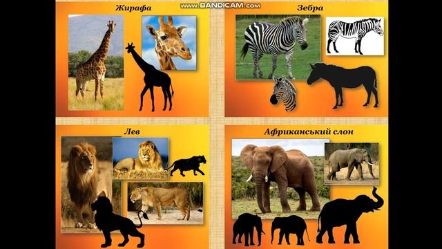 Образотворче мистецтво. Тема: "Графіка. Сілует улюбленої тварини." 2 клас смотреть онлайн