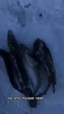#рыбалка#fishing#burbot#налим.mp4