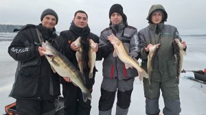 Ловля судака на реке Волга  в "весенний январский день" !