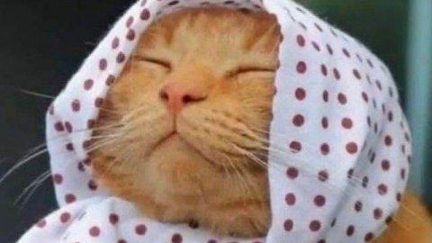 жизнь