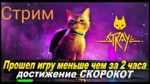 [STREAM] спидран по  игре Stray