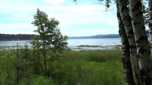 С распростёртыми крыльями