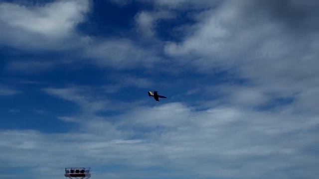 Baltic Bees Aerobatic Team смотреть онлайн